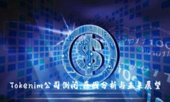 Tokenim公司倒闭：原因分析