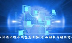 不记得比特币钱包怎么办