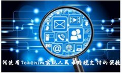 如何使用Tokenim实现人民币