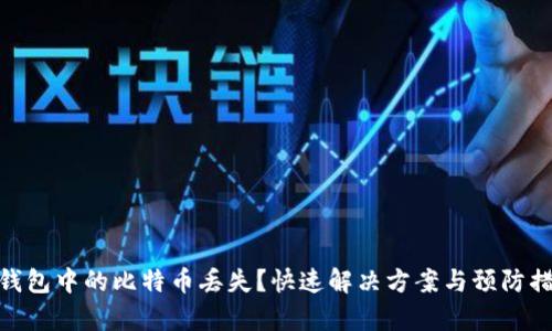 tp钱包中的比特币丢失？快速解决方案与预防措施