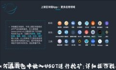 如何在钱包中放入USDT进行