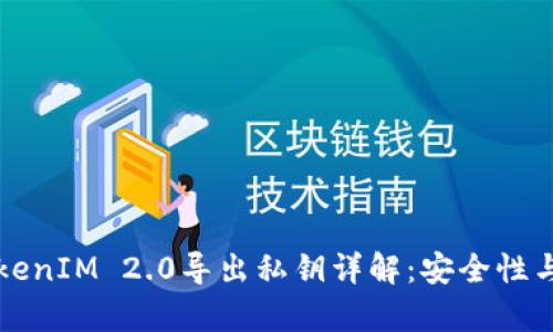 ### TokenIM 2.0导出私钥详解：安全性与应用前景