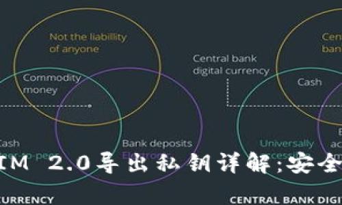 ### TokenIM 2.0导出私钥详解：安全性与应用前景