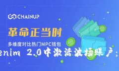 如何在Tokenim 2.0中激活波场