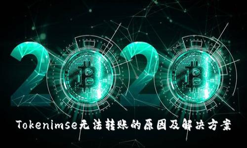 Tokenimse无法转账的原因及解决方案