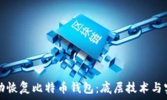   如何成功恢复比特币钱包