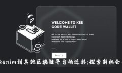  从Tokenim到其他区块链平台