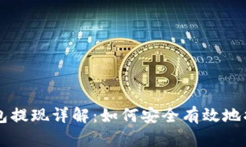 比特币冷钱包提现详解：如何安全有效地将比特币转出