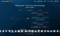 比特币子钱包全解析：如