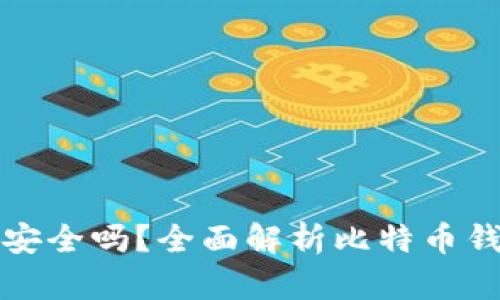 比特币钱包安全吗？全面解析比特币钱包的安全性