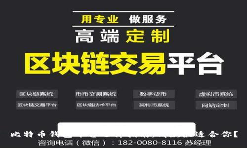 比特币钱包平台选择指南：哪款最适合你？