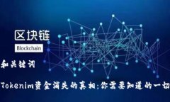 和关键词Tokenim资金消失的