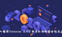 深入解析Tokenim 2.0公钥与私