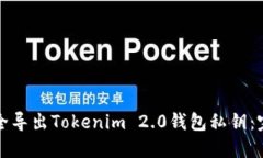 如何安全导出Tokenim 2.0钱包