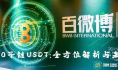Tokenim 2.0子链USDT：全方位