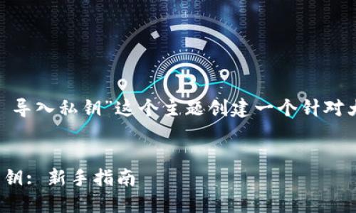 在这里，我们可以为“tokenim 2.0 导入私钥”这个主题创建一个针对大众用户且易于的及相应内容大纲。


如何在Tokenim 2.0中安全导入私钥: 新手指南