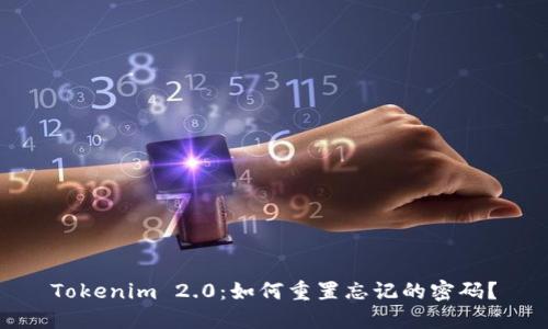 Tokenim 2.0：如何重置忘记的密码？