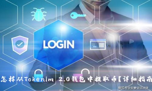 怎样从Tokenim 2.0钱包中提取币？详细指南