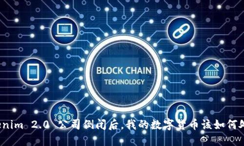 Tokenim 2.0 公司倒闭后，我的数字货币该如何处理？