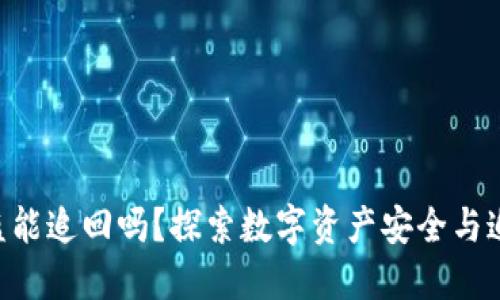 Tokenim被盗能追回吗？探索数字资产安全与追回的可能性