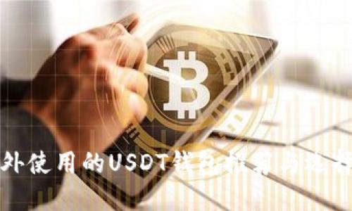 在国外使用的USDT钱包推荐与选择指南