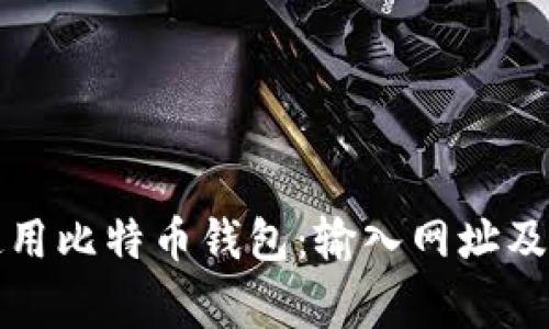 如何安全地使用比特币钱包：输入网址及安全注意事项
