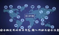 如何安全地使用比特币钱包：输入网址及安全注