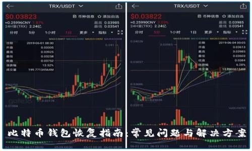 比特币钱包恢复指南：常见问题与解决方案