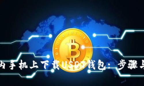 如何在国内手机上下载USDT钱包: 步骤与注意事项