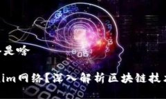 Tokenim网络是啥什么是Tokenim网络？深入解析区块链