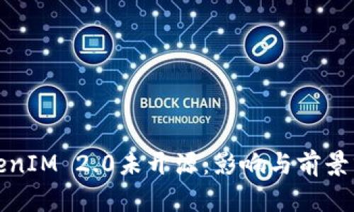 TokenIM 2.0未开源：影响与前景分析