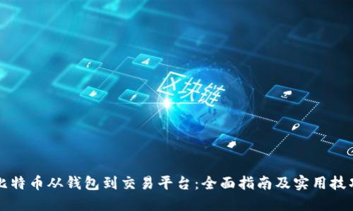 比特币从钱包到交易平台：全面指南及实用技巧