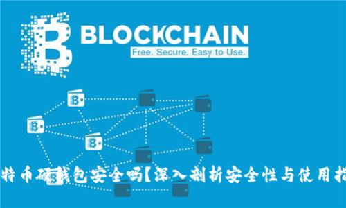 比特币硬钱包安全吗？深入剖析安全性与使用指南