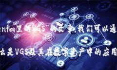 要撰写一个关于“Tokenim里的VGS”的文章，我们可