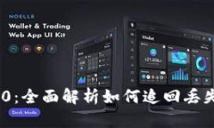 Tokenim 2.0：全面解析如何追回丢失的加密资产