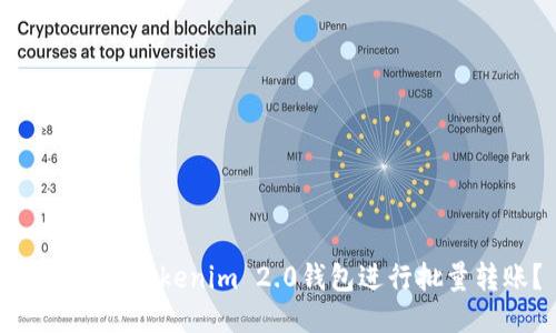 如何使用Tokenim 2.0钱包进行批量转账？