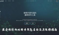 最受欢迎的比特币钱包名称及其选择指南