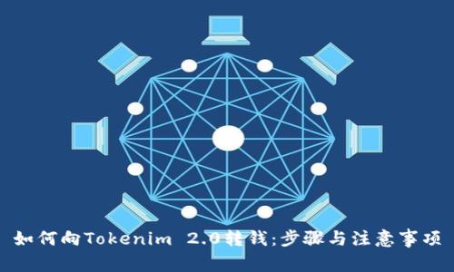 如何向Tokenim 2.0转钱：步骤与注意事项
