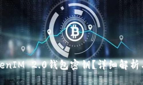 什么是TokenIM 2.0钱包密钥？详细解析与安全指南