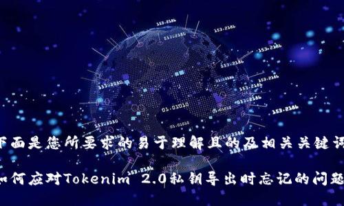 下面是您所要求的易于理解且的及相关关键词。

如何应对Tokenim 2.0私钥导出时忘记的问题