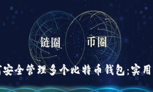 如何安全管理多个比特币钱包：实用指南