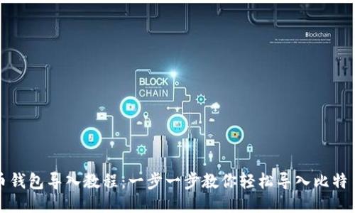 比特币钱包导入教程:一步一步教你轻松导入比特币钱包