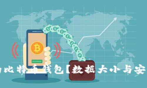 如何选择适合的比特币钱包？数据大小与安全性的综合解析