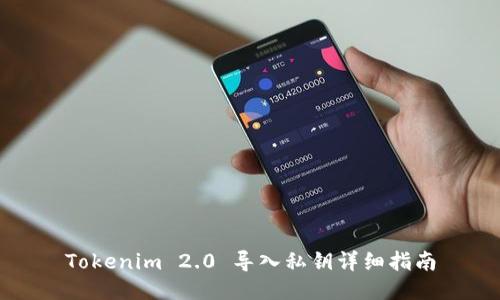 Tokenim 2.0 导入私钥详细指南