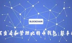 如何查看和管理比特币钱包：新手指南