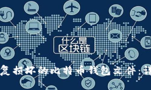 如何修复损坏的比特币钱包文件：详细指南