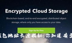 :比特币钱包地址长度揭秘：你知道有多少位吗？