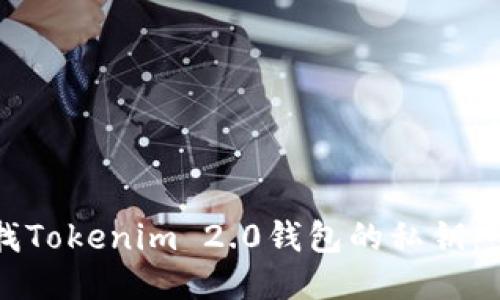 如何查找Tokenim 2.0钱包的私钥:全面指南