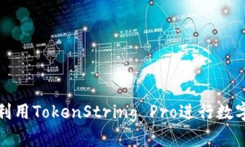 如何有效利用TokenString Pro进行数字资产管理