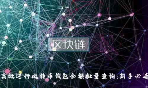 如何高效进行比特币钱包余额批量查询：新手必看指南